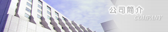 ˾